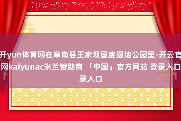 开yun体育网在阜南县王家坝国度湿地公园里-开云官网kaiyunac米兰赞助商 「中国」官方网站 登录入口